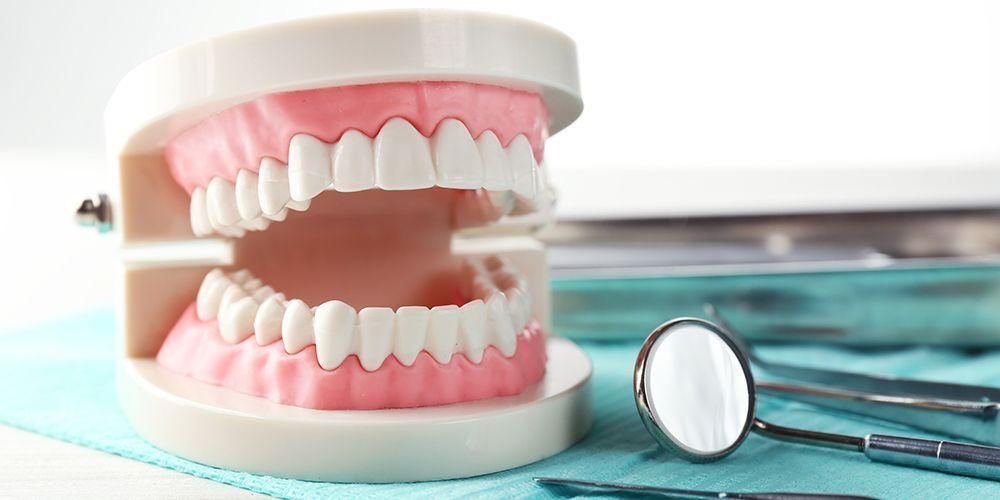 จำนวนฟันในอุดมคติสำหรับผู้ใหญ่คือเท่าไร? เข้าใจวิธีดูแลด้วยนะคะ