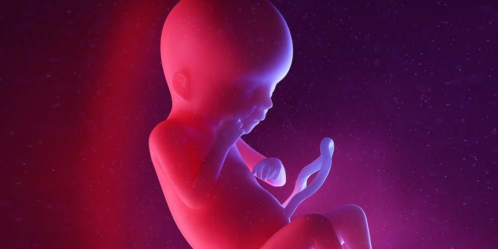 妊娠30週での胎児の発育の種類と母親が感じた変化