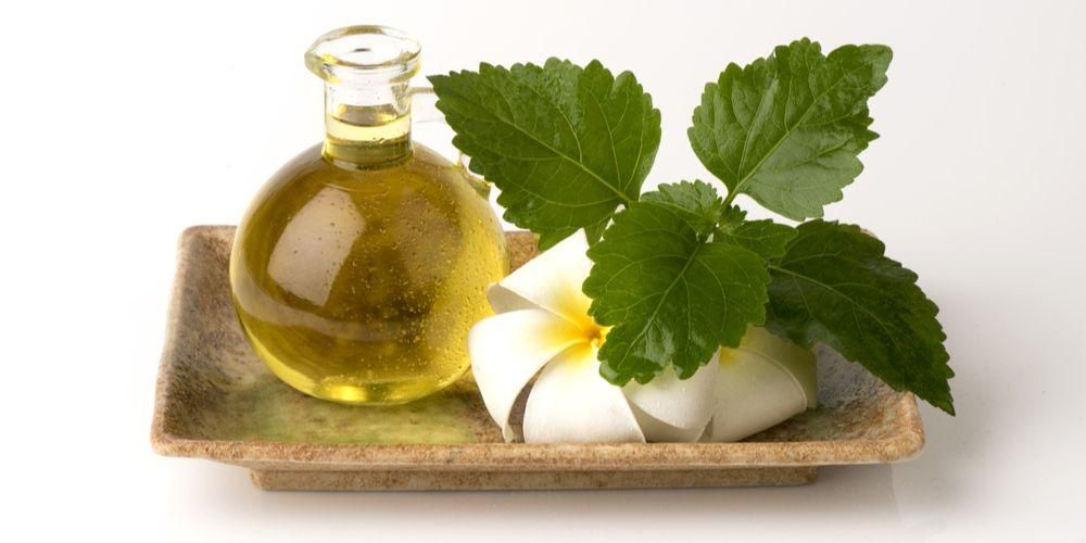 Benefici dell'olio di Patchouli, da Afrodisiaco a Diuretico