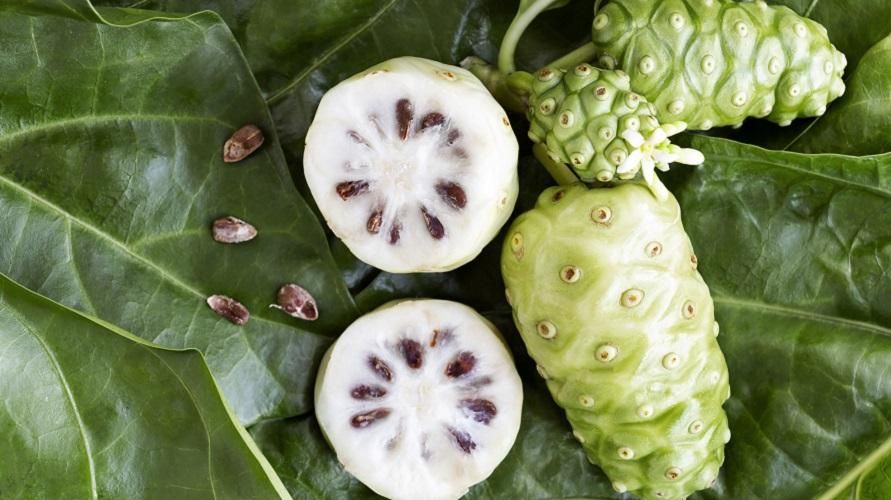 10 benefici delle foglie di noni non meno buoni del frutto