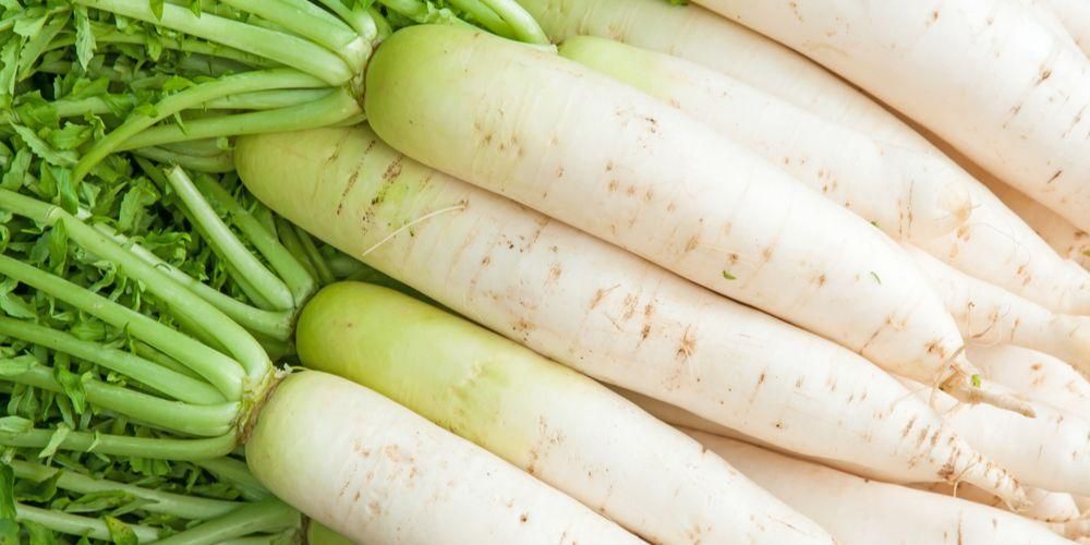 Запознайте се с предимствата на бялата ряпа, хранителен и здравословен зеленчук