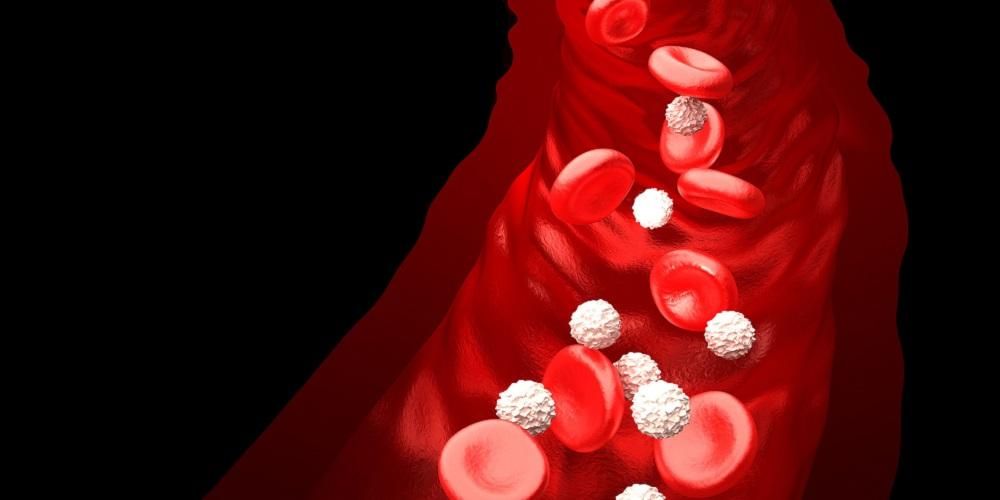 Beyaz Kan Hücrelerinin Fazlalığı Bir Hastalık Belirtisi, Nedeni Nedir?