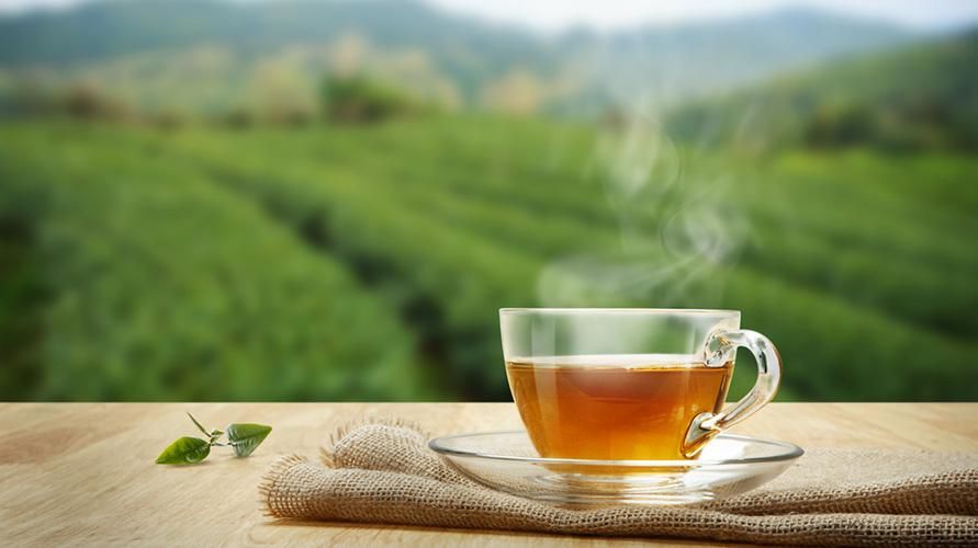 Walaupun rasanya hambar, faedah minum teh pahit dapat membantu tubuh menghindari penyakit
