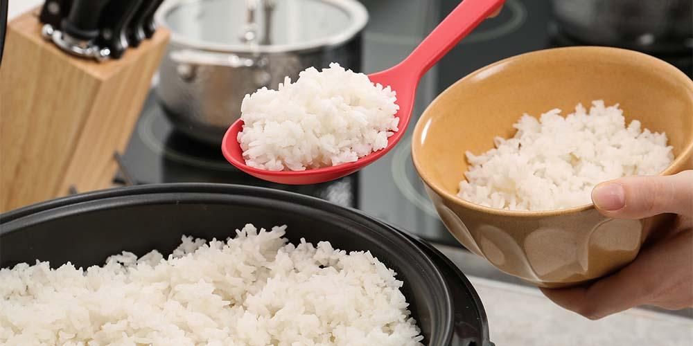 Diet Tanpa Makan Nasi, Adakah Berkesan Menurunkan Berat Badan?