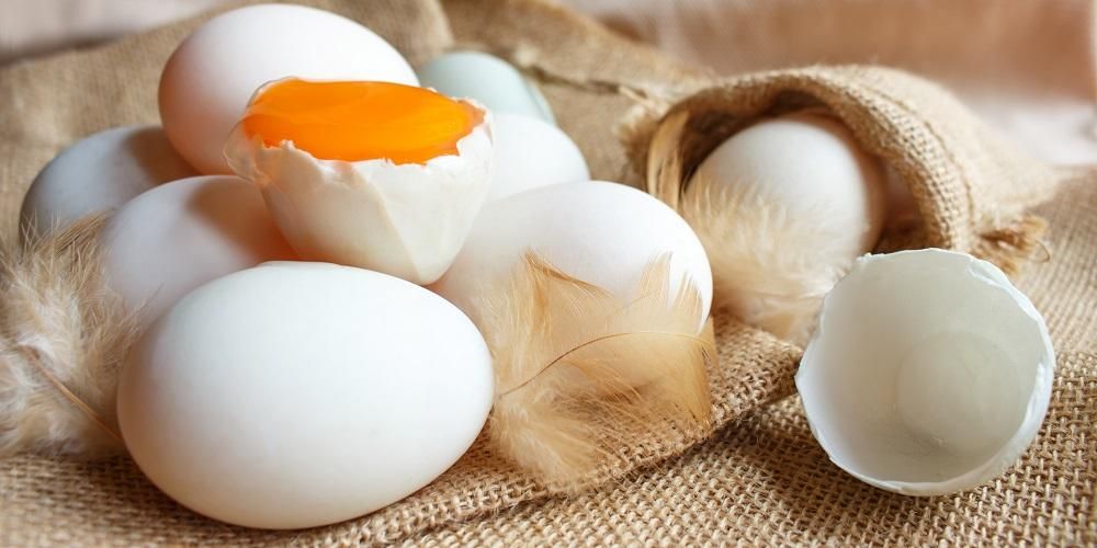 รู้ถึงอันตรายและประโยชน์ของไข่เป็ดเพื่อสุขภาพและเนื้อหาทางโภชนาการ
