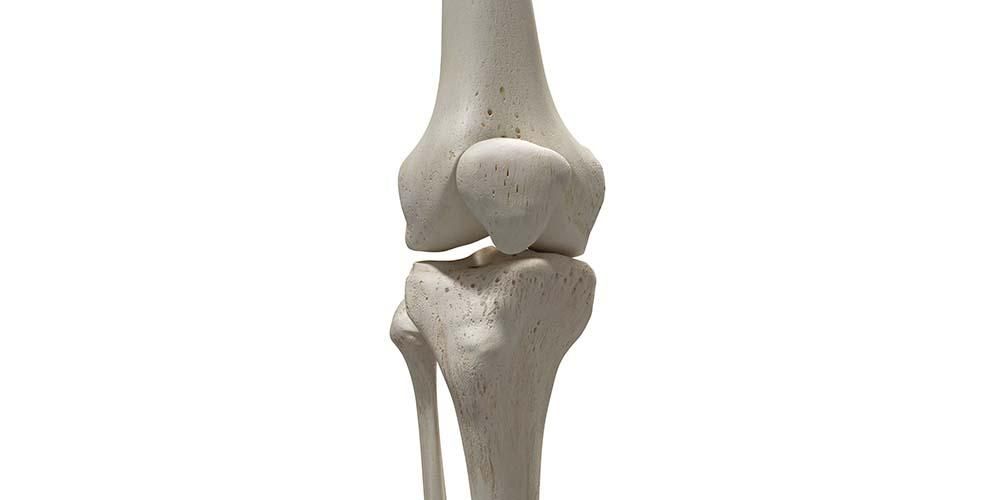 Функции на костите на коляното в човешкото тяло