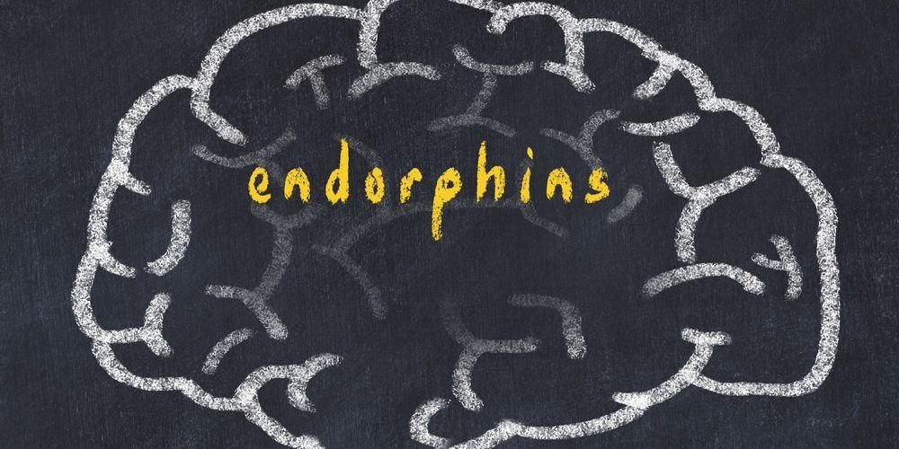 Conosci le endorfine, uno dei composti della felicità