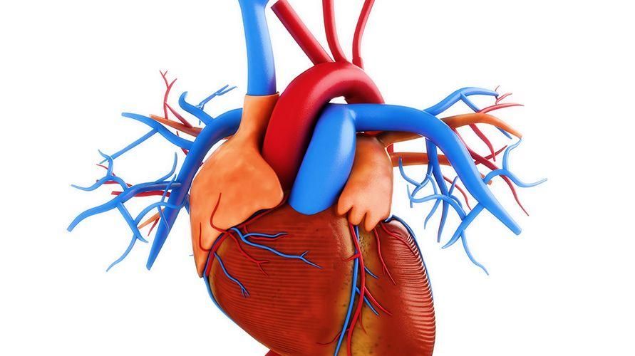 CAD هو أحد أمراض القلب المميتة