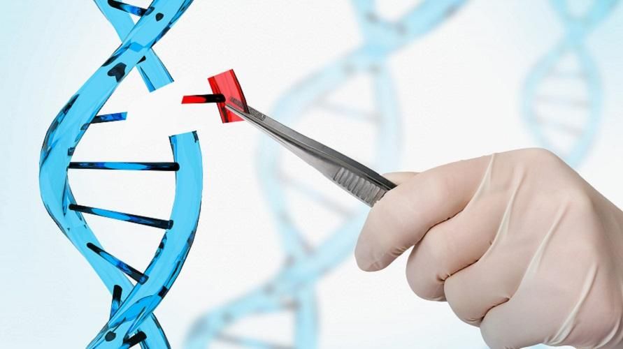 形質の遺伝における遺伝子型と表現型の意味とそれらの違い