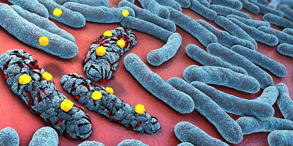 Bagaimana antibiotik berfungsi berkesan terhadap bakteria?