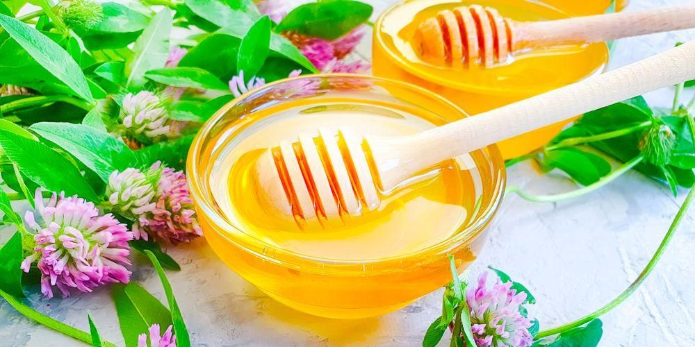 ประโยชน์ของน้ำผึ้งโคลเวอร์ น้ำผึ้งหวานและดีต่อสุขภาพ