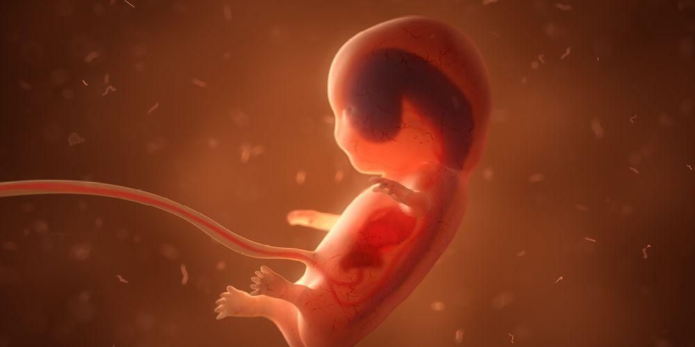 ตั้งครรภ์นอกมดลูก รู้จักลักษณะและผลกระทบต่อสุขภาพ