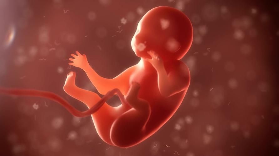 Alimenti che causano il feto non sviluppato da evitare durante la gravidanza