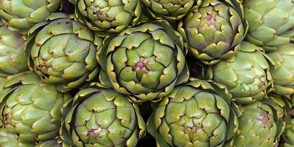 Artichokes, kelihatan menakutkan tetapi sangat berkhasiat