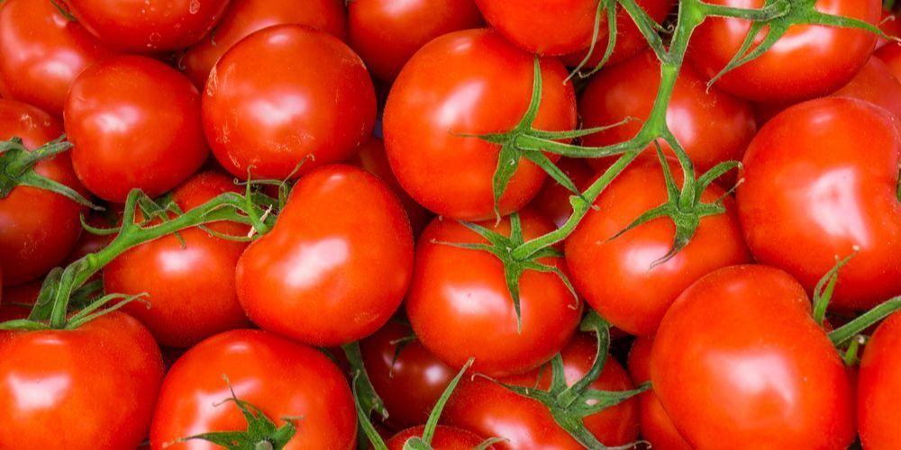 Khasiat Tomato yang Sihat dan Kandungan Nutrisi Lengkap