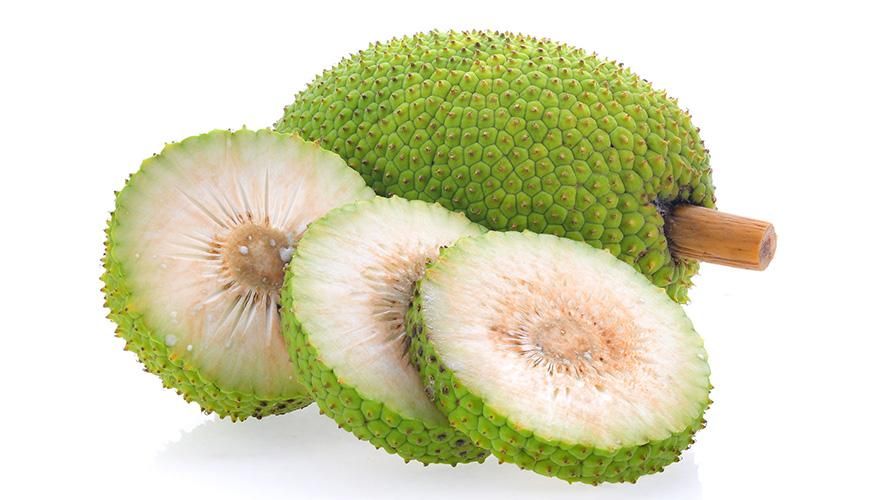 Berikut adalah 8 kebaikan Breadfruit yang telah diuji untuk Kesihatan