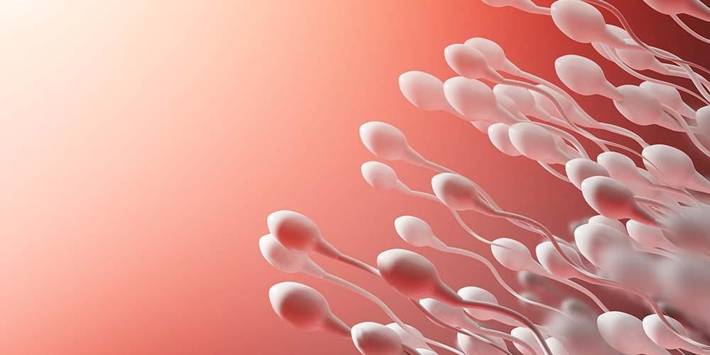 Asthenozoospermia adalah Ketika Sperma Tidak Berenang, Bagaimana Mengatasinya?