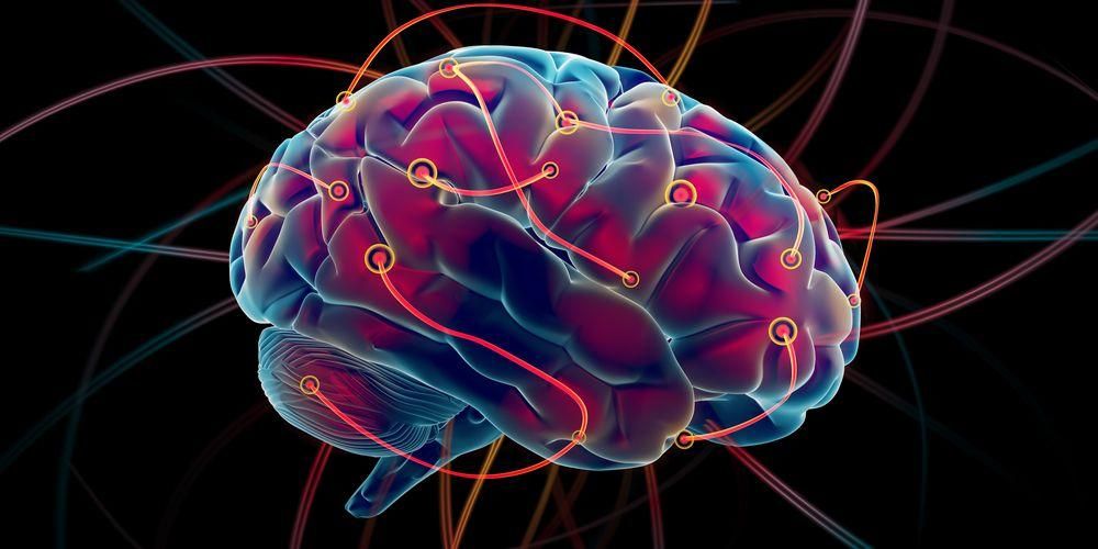 Ролята на 12 черепни нерви в главата, важни за зрението на сърцето
