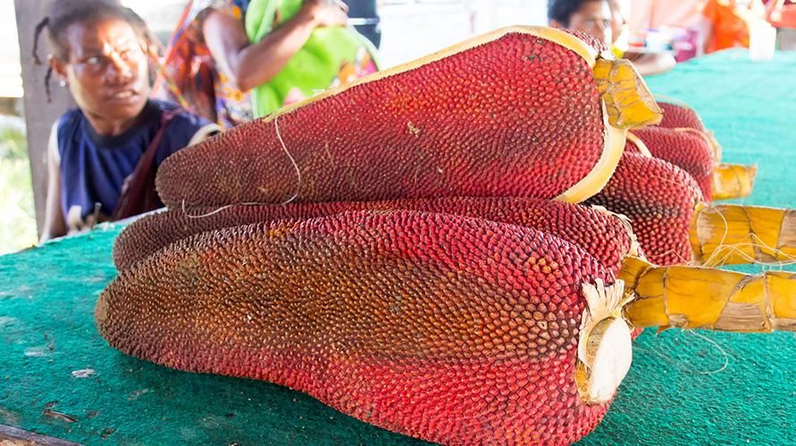 Il frutto rosso di Papua ha 5 benefici che fanno bene alla salute