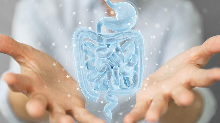 Conosci i tipi di ghiandole digestive e gli enzimi che producono