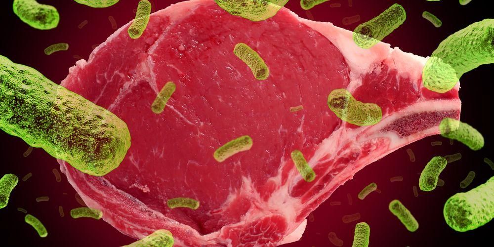 Attenzione ai batteri della salmonella negli alimenti