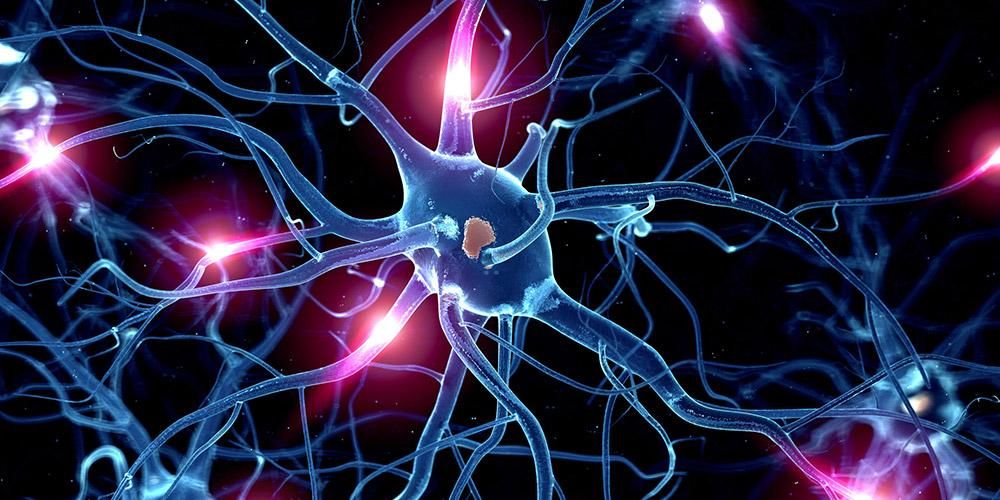 Сложността на сензорните нерви и разстройства, които могат да им повлияят