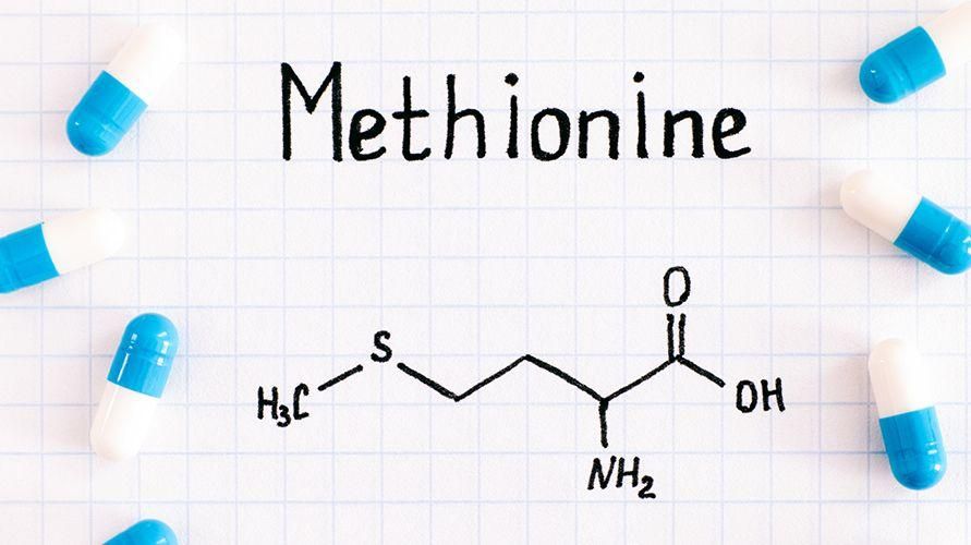 เมไทโอนีนเป็นกรดอะมิโนที่จำเป็น รู้หน้าที่ของมันต่อร่างกาย