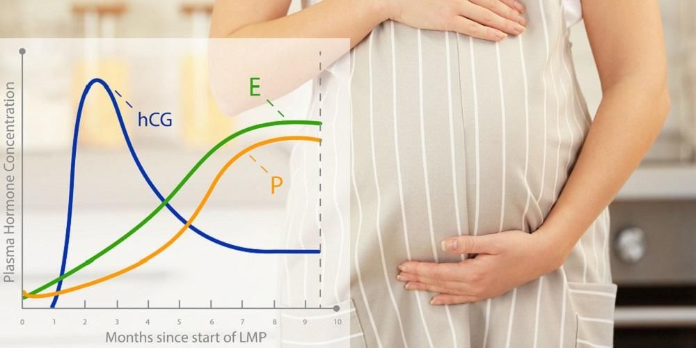 التعرف على تأثير مستويات هرمون hCG أثناء الحمل على النساء الحوامل