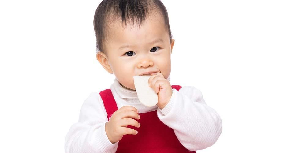 Apa Jenis Makanan yang Dapat Diberi Bayi 11 Bulan?