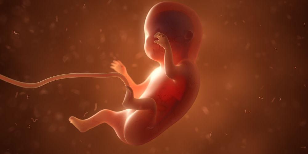 9 أسابيع من الحمل ، هذا ما يحدث للأم والجنين