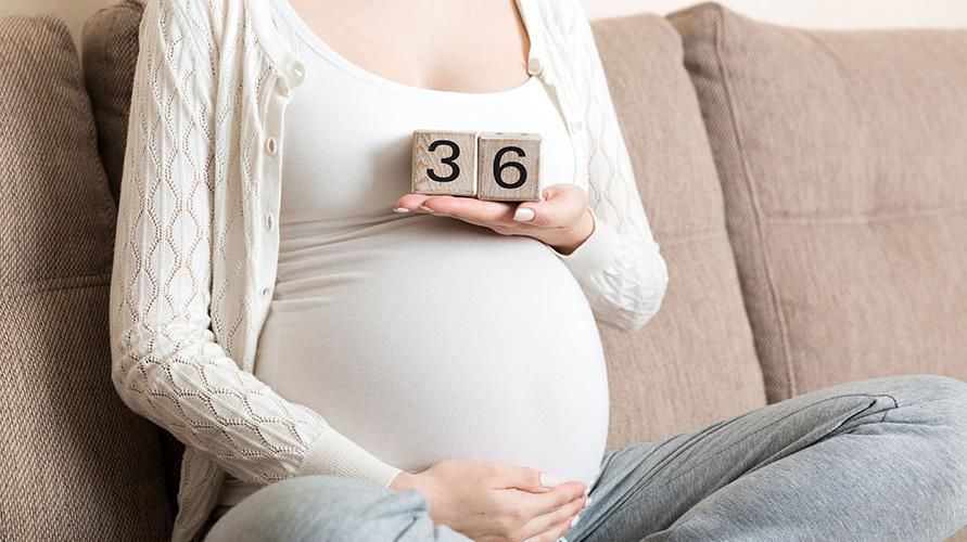 حامل في الأسبوع السادس والثلاثين: نمو الجنين استعدادًا للولادة ما يجب أن تعرفه الأمهات