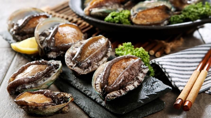 Abalone, Besleyici Deniz Salyangozu Faydaları