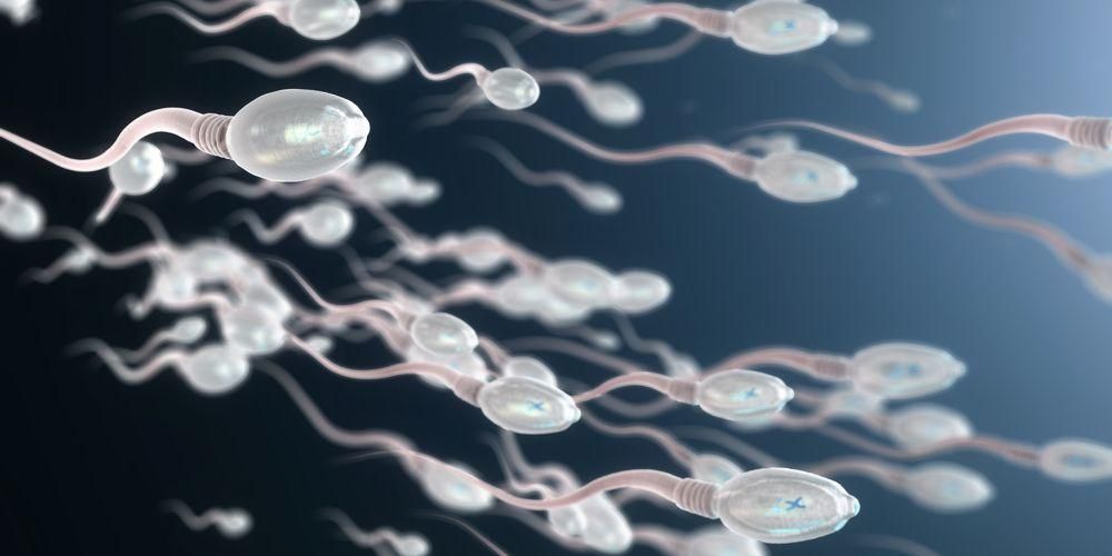 Punca Sperma Berdarah Yang Perlu Anda Perhatikan