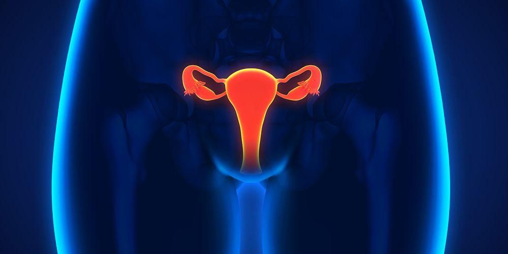 أهمية دور ووظيفة بطانة الرحم في جسد المرأة