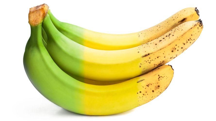 กล้วยหลากสีที่แสดงระดับความสุกและประโยชน์ที่แตกต่างกัน