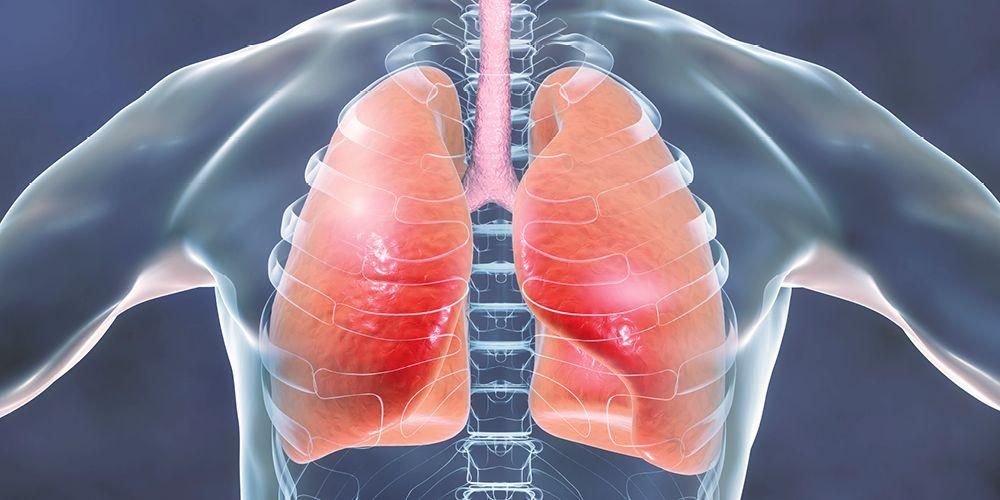 Riconoscere le parti e le funzioni dei polmoni per il corpo