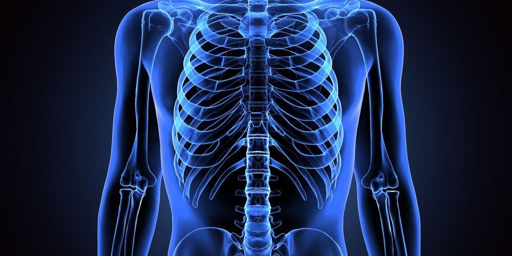 التعرف على أهمية الهيكل العظمي البشري ووظائفه