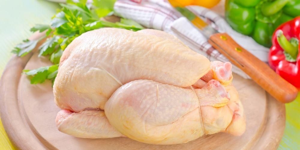 الدجاج العضوي والدجاج بروبيوتيك ، ما هي المزايا؟