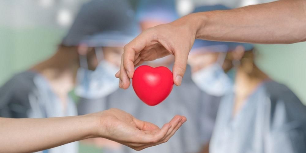 Yararları ve Riskleri Dahil Organ Nakli Hakkında Gerçekler
