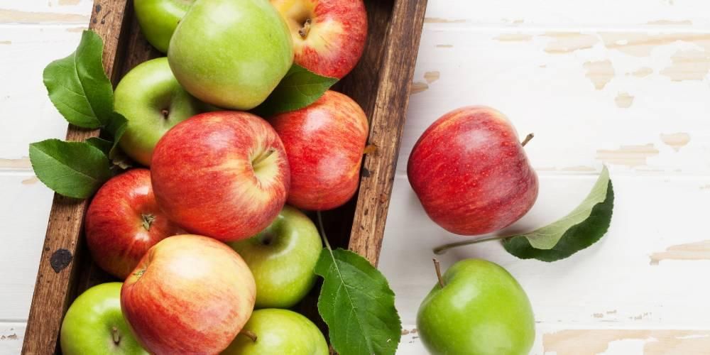فحص محتوى وفوائد التفاح للصحة