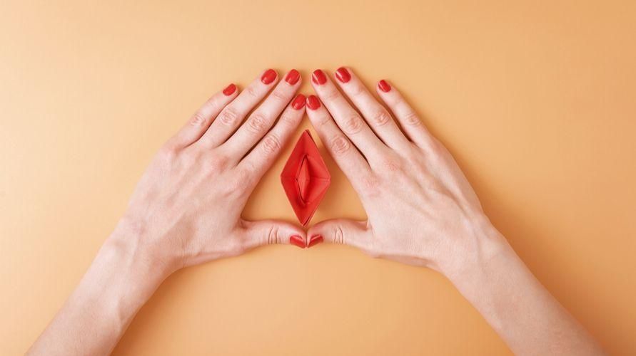 Запознайте се с вулвата, важна част от женския полов орган