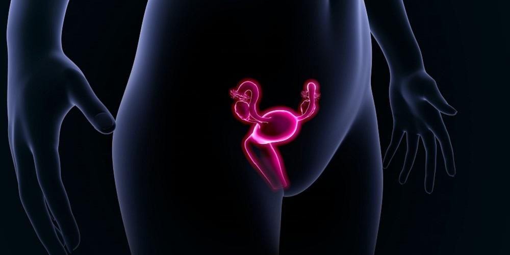مواقع الرحم الطبيعية وغير الطبيعية التي تحتاج النساء إلى معرفتها
