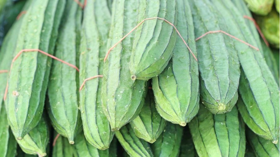 健康のためのオヨンまたはガンバの利点、おいしい緑の野菜