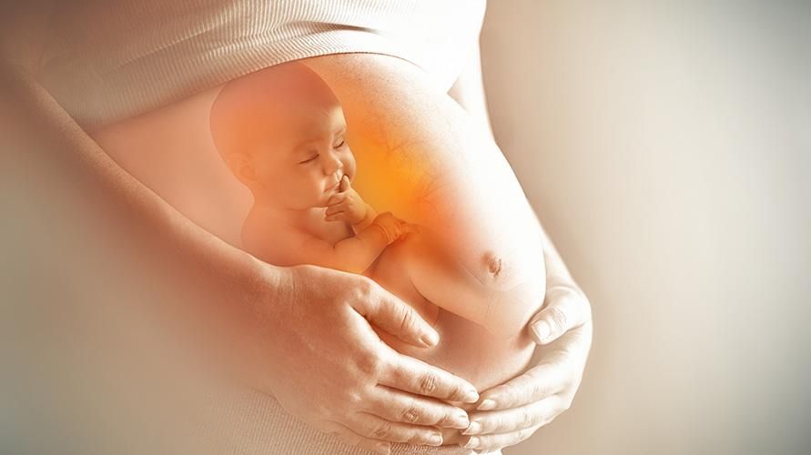 يتحرك الجنين إلى اليمين ، فهل يجب على المرأة الحامل أن تكون يقظة؟