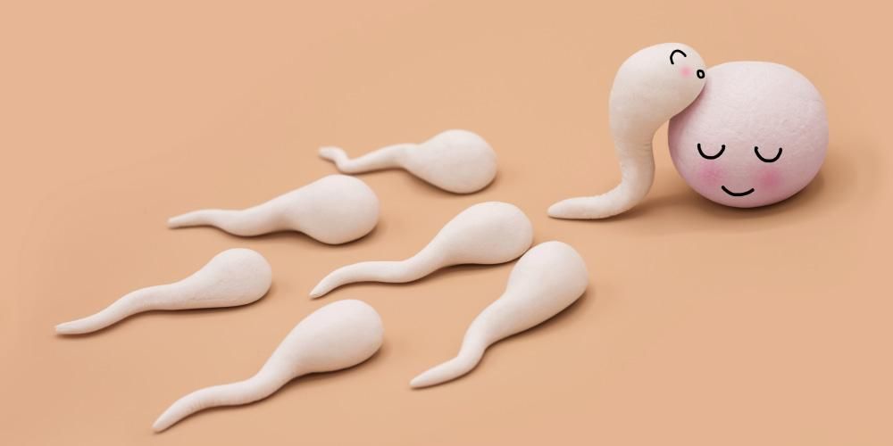 Разпознайте характеристиките на здравата сперма чрез следните показатели!