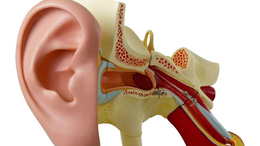 تعرف على التهاب الأذن الوسطى حتى لا تنساه