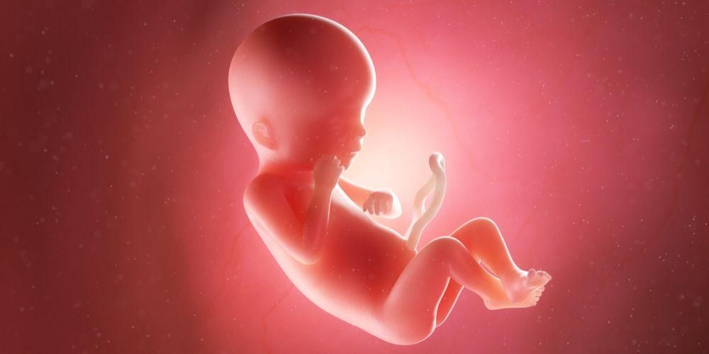 Peso fetale stimato in base all'età gestazionale, qual è la formula?